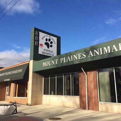 Mt Plaines Animal Hospital - Mt Prospect , United States
