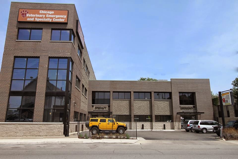 Eye Care For Animals Chicago - Chicago , United States