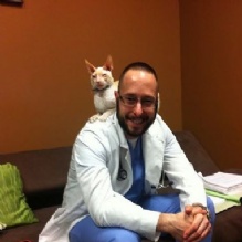 Wilton Manors Animal Hospital - Wilton Manors , United States