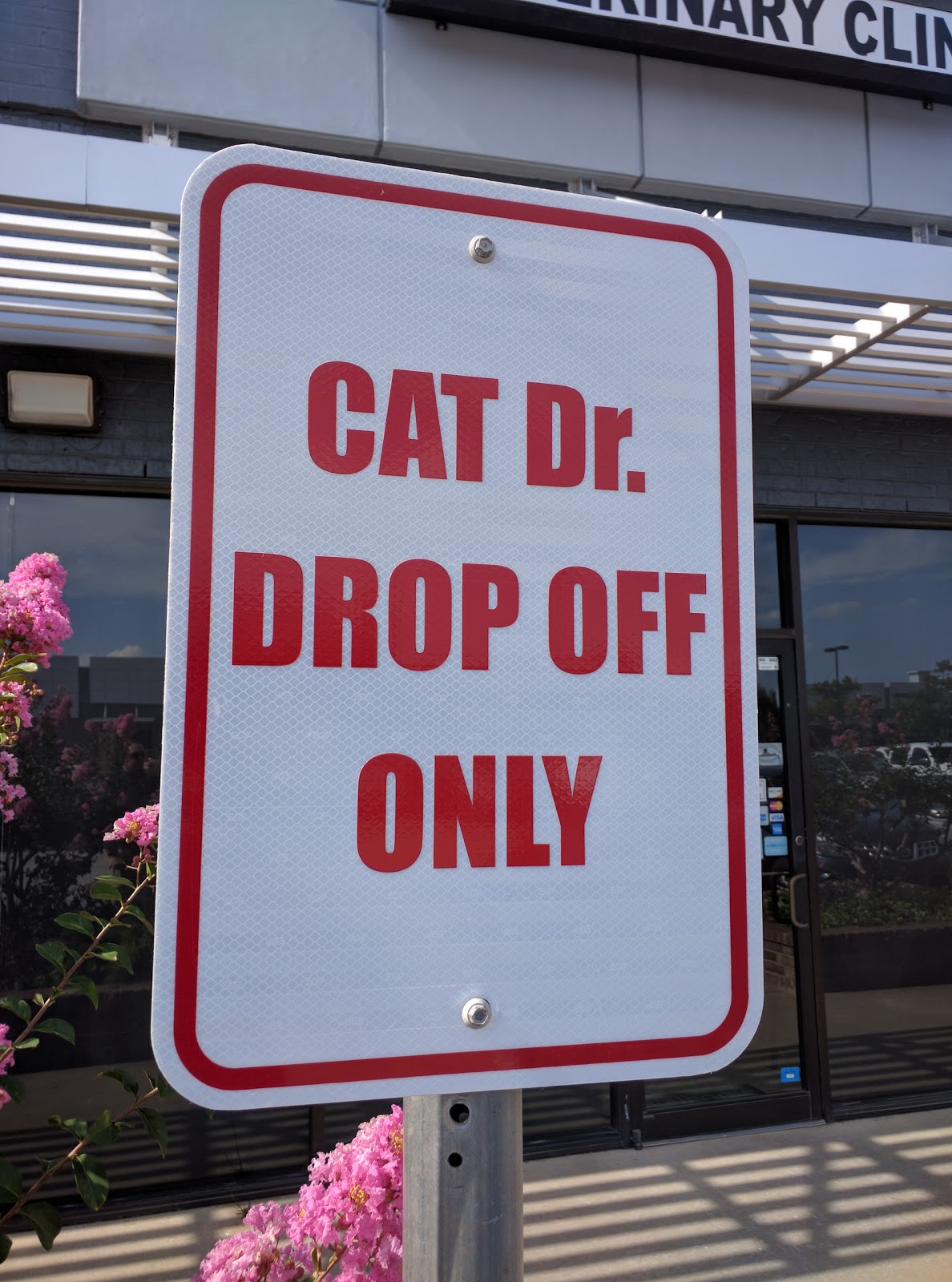 Cats Only Veterinary Clinic - Norman , United States