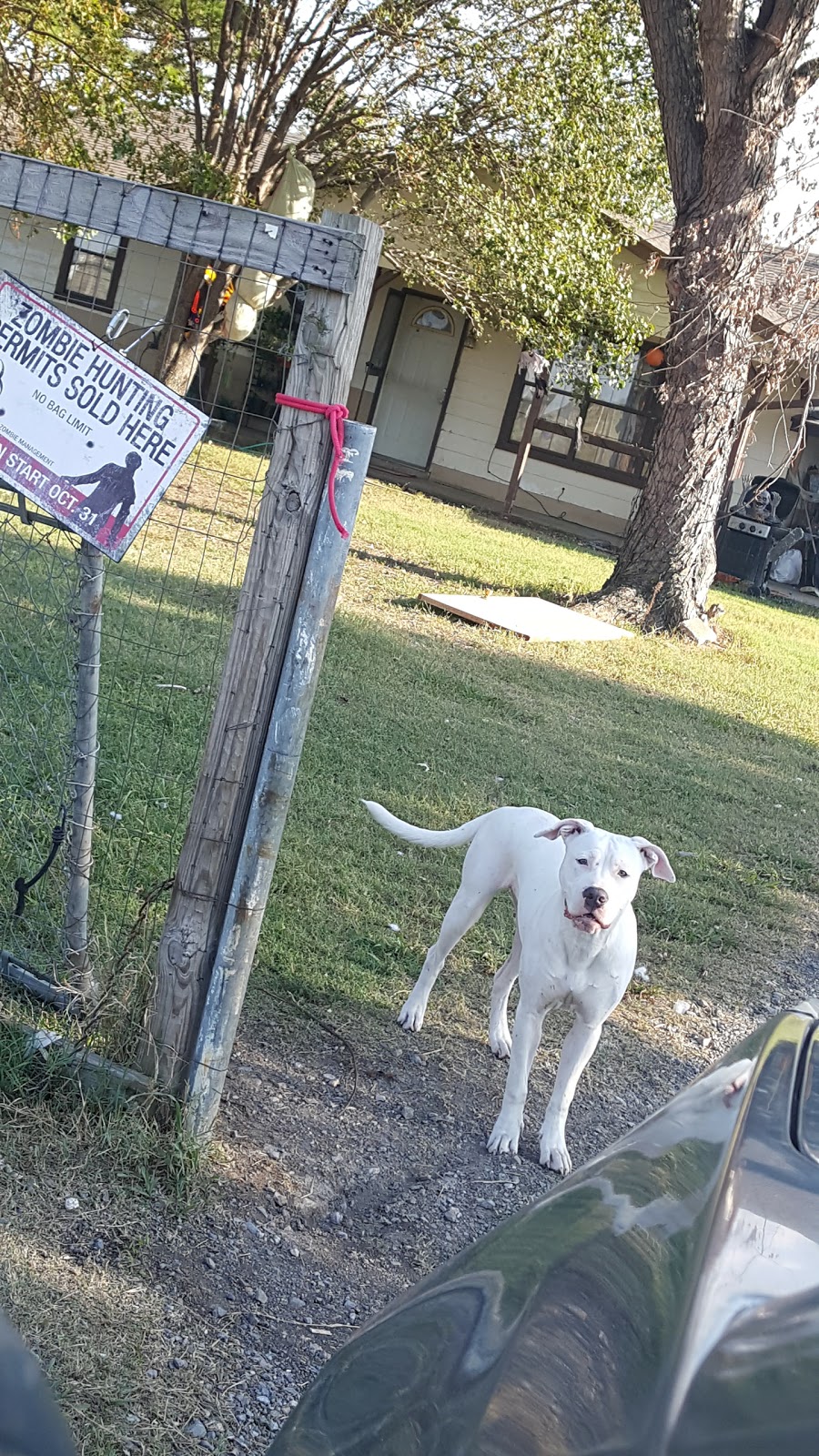 Honor Heights Veterinary Clinic - Muskogee , United States