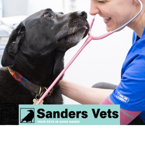 Sanders Veterinary Surgery - Cwmbran , United Kingdom