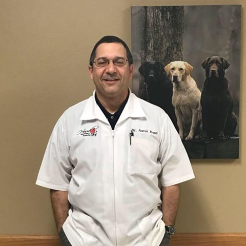 Hood Veterinary Hospital - Denham Springs , United States