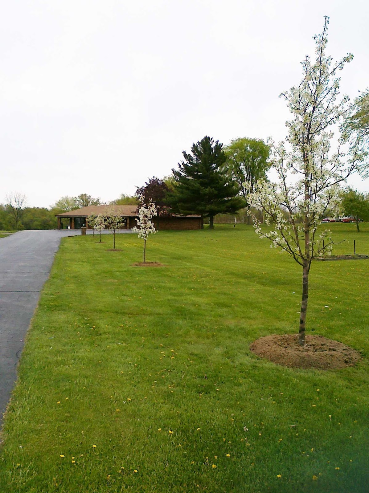 Two By Two Animal Hospital - Berrien Springs , United States