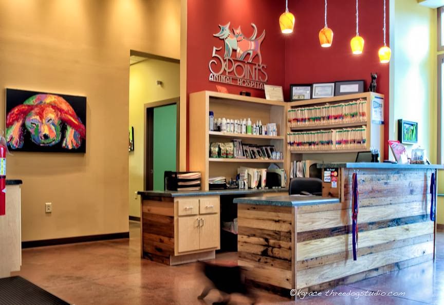 5 Points Animal Hospital - Nashville , United States