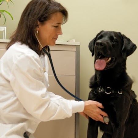 Token Creek Veterinary Clinic - Sun Prairie , United States