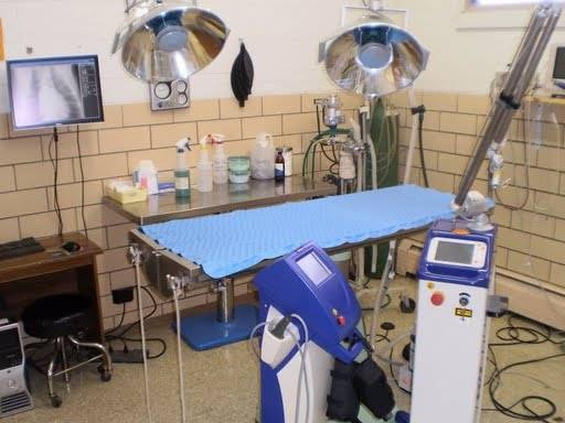 Cherrelyn Animal Hospital - Englewood , United States