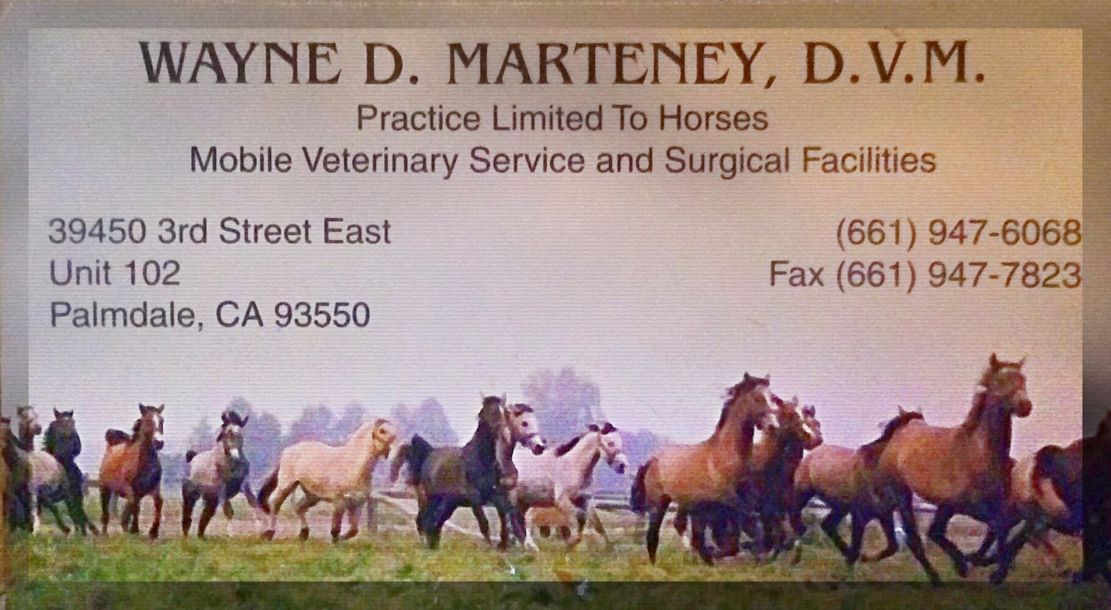 Marteney Wayne Dvm - Palmdale , United States