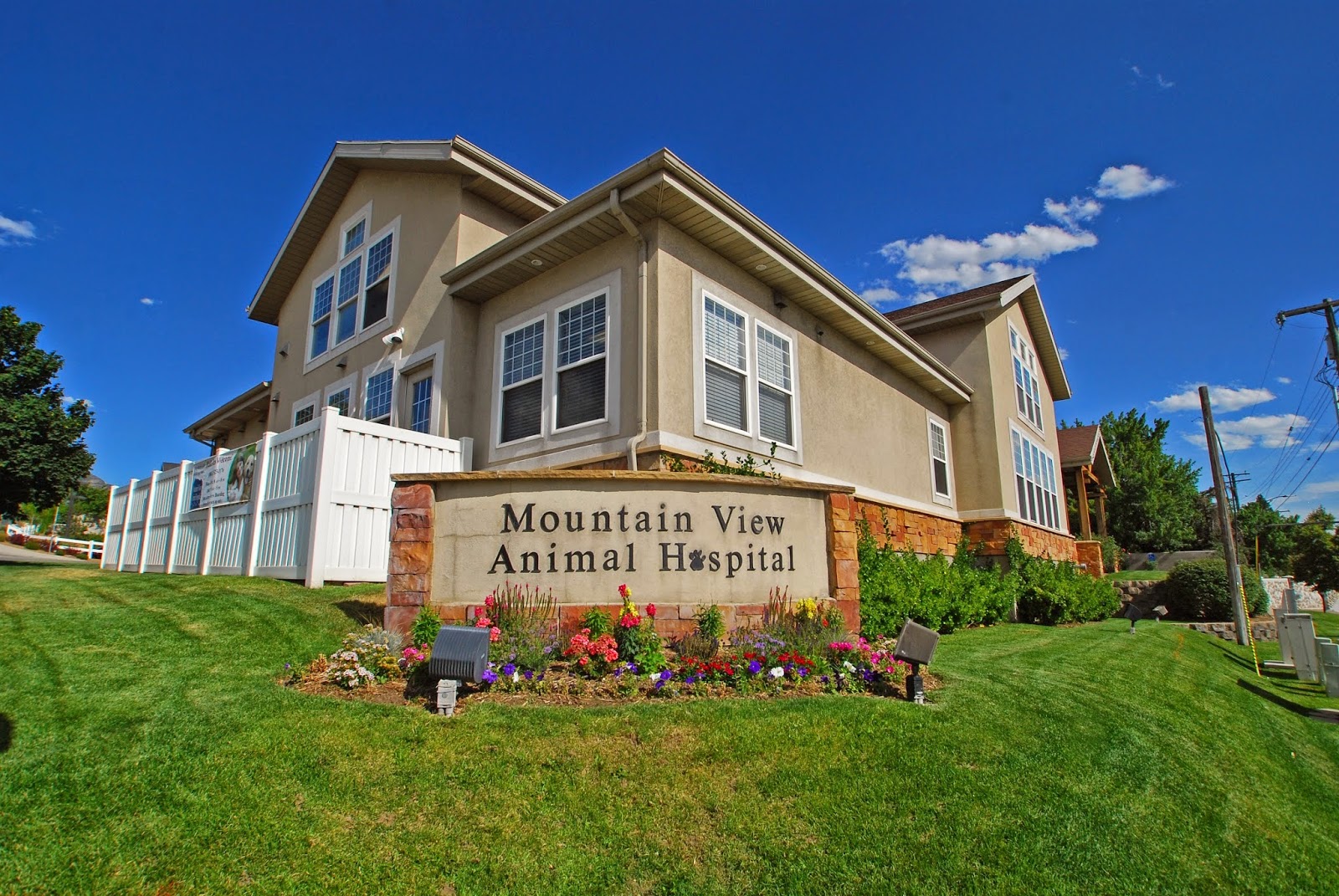 Mtn view best sale animal hospital