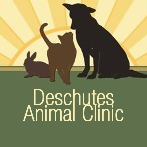Deschutes Animal Clinic - Tumwater , United States