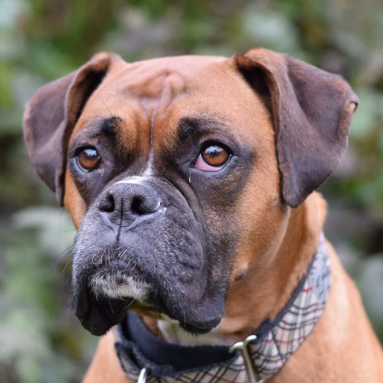 Romeo Pet Hospital - Stratford , Canada