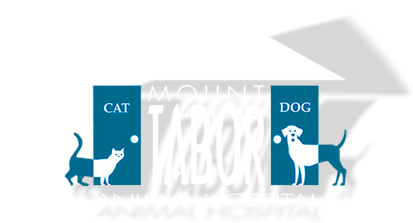 Mt Tabor Animal Hospital - Winston-Salem , United States