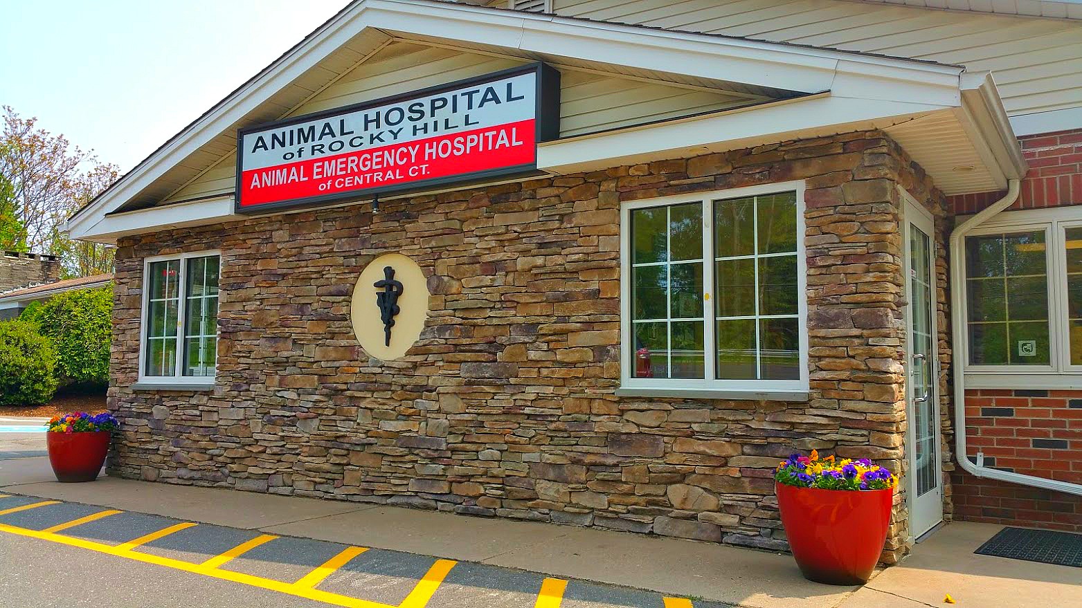 Animal Hospital Of Rocky Hill - Rocky Hill , United States