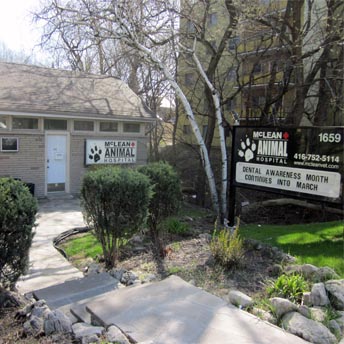Mclean Animal Hospital - Scarborough , Canada