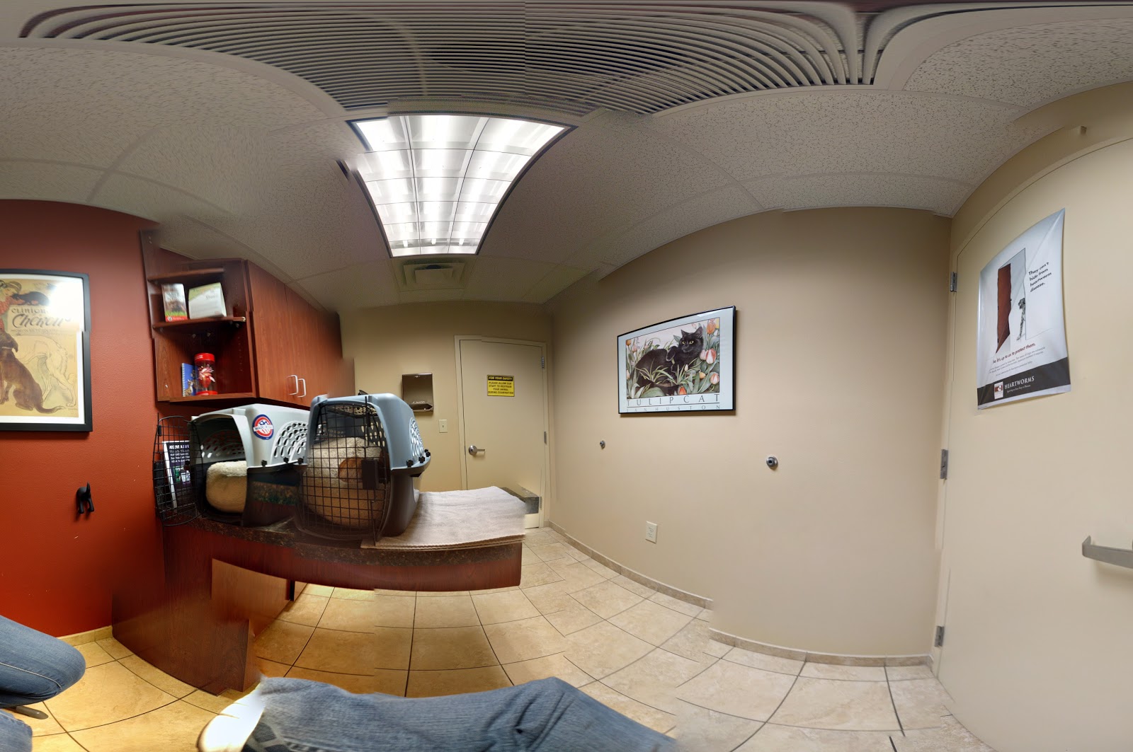 Pets First Veterinary Center - San Antonio , United States