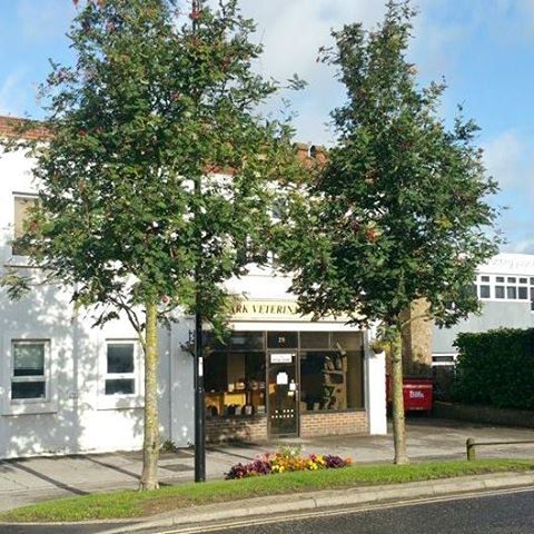 Ark Veterinary Group Burgess Hill - Burgess Hill , United Kingdom