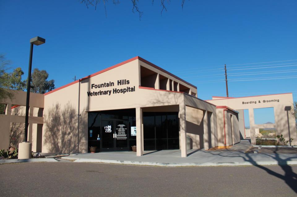 Fountain Hills Veterinary Hospital - Fountain Hills , United States