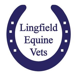 Lingfield Equine Vets - East Grinstead , United Kingdom