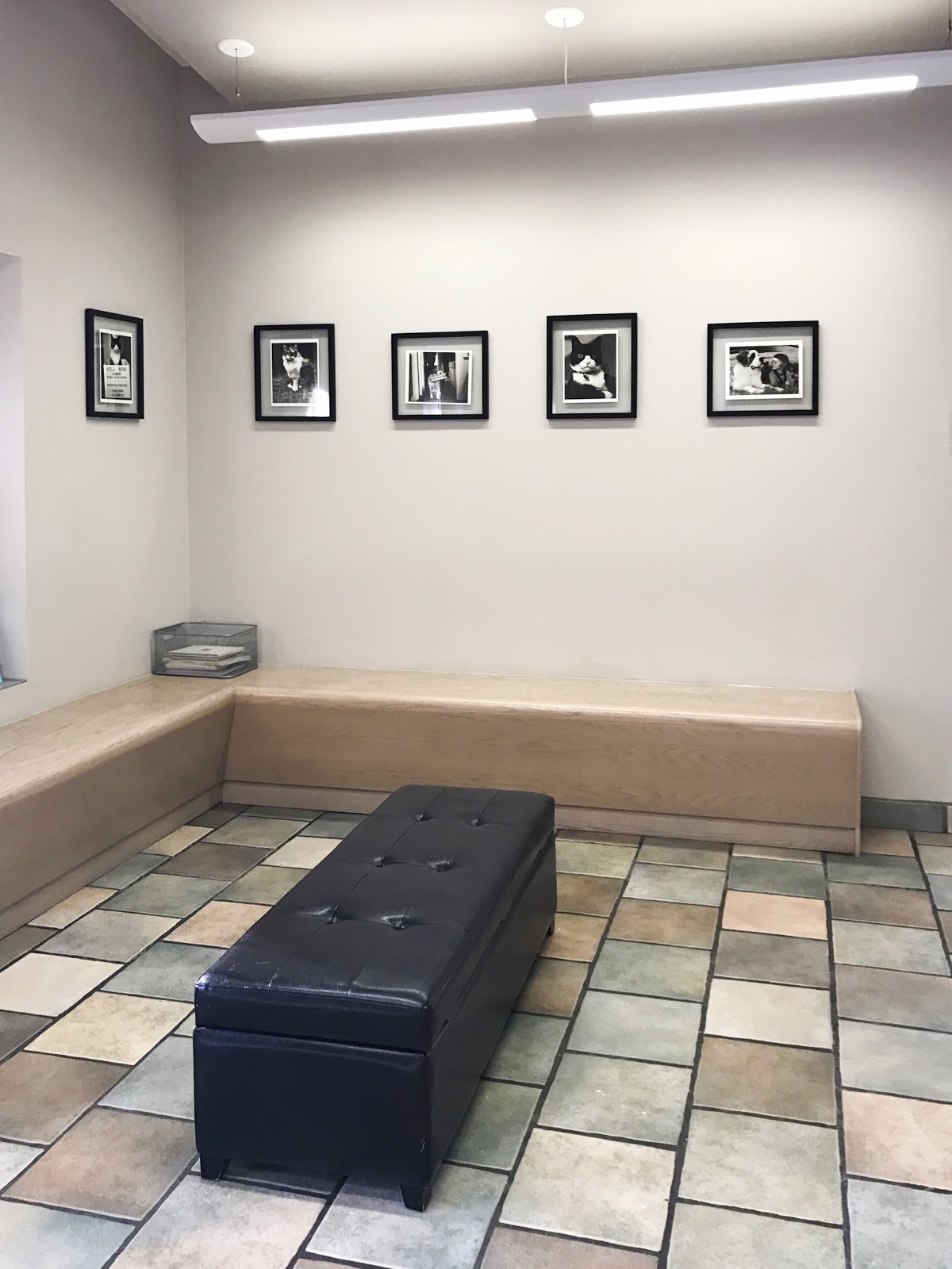 Spicewood Springs Animal Hospital - Austin , United States