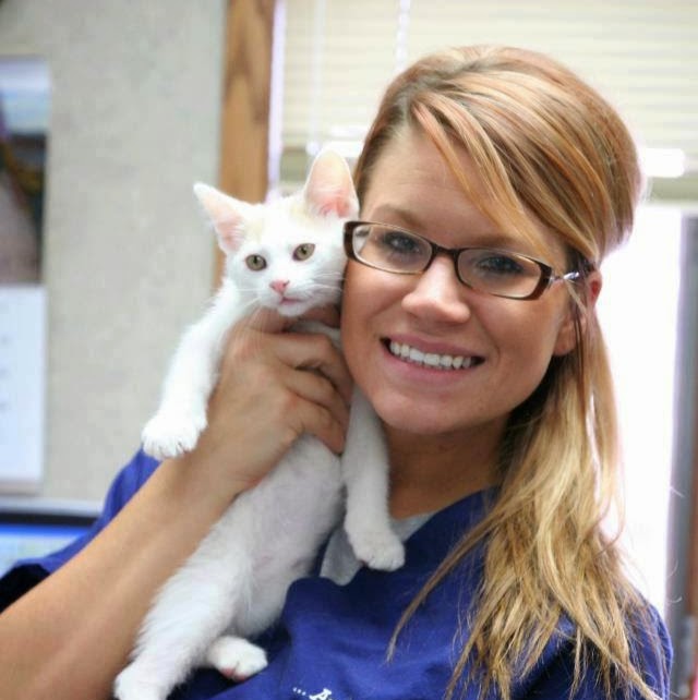 Deforest Veterinary Clinic - DeForest , United States