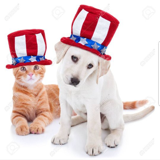 Round Lake Animal Hospital - Round Lake , United States