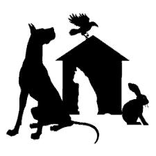 Dacre House Veterinary Clinic - Tunbridge Wells , United Kingdom