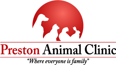 Preston Animal Clinic - Cambridge , Canada