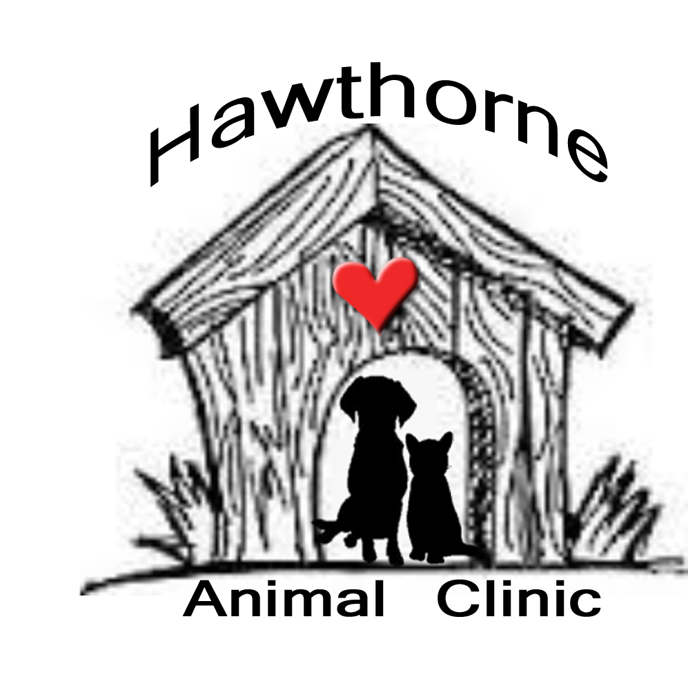 Hawthorne Animal Clinic - Mt Vernon , United States