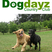 Dogdayz Country Clubs - Warrandyte , Australia