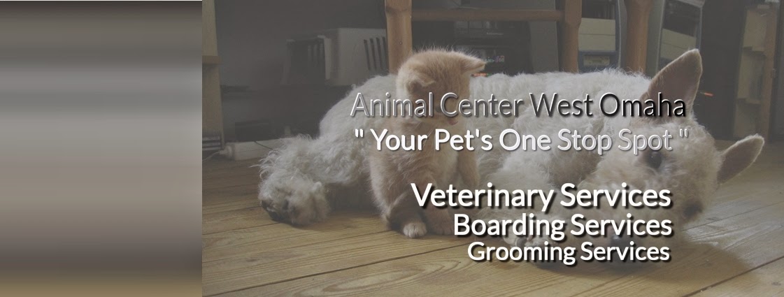 Animal Center West Omaha - Omaha , United States