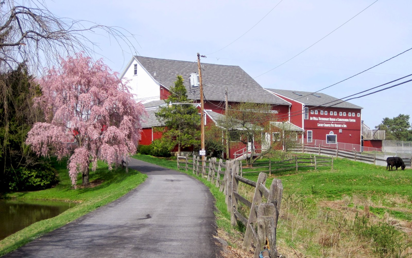 Pleasant Valley Animal Hospital - Quakertown , United States