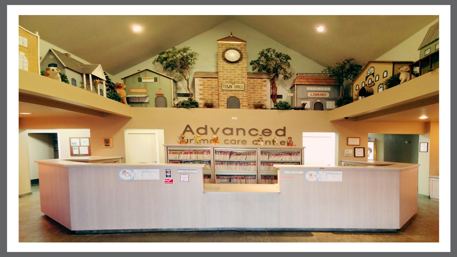 VCA Advanced Care Animal Hospital - Euless , United States