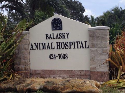 Balasky Animal Hospital - Davie , United States