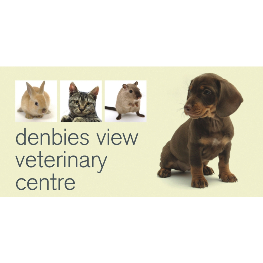 Medivet Dorking - Dorking , United Kingdom
