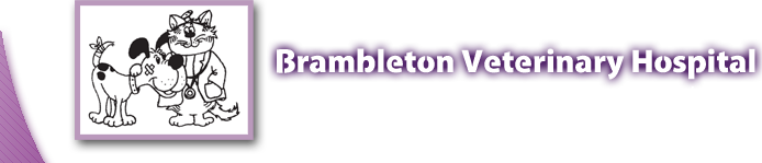 Brambleton Veterinary Hospital - Roanoke , United States