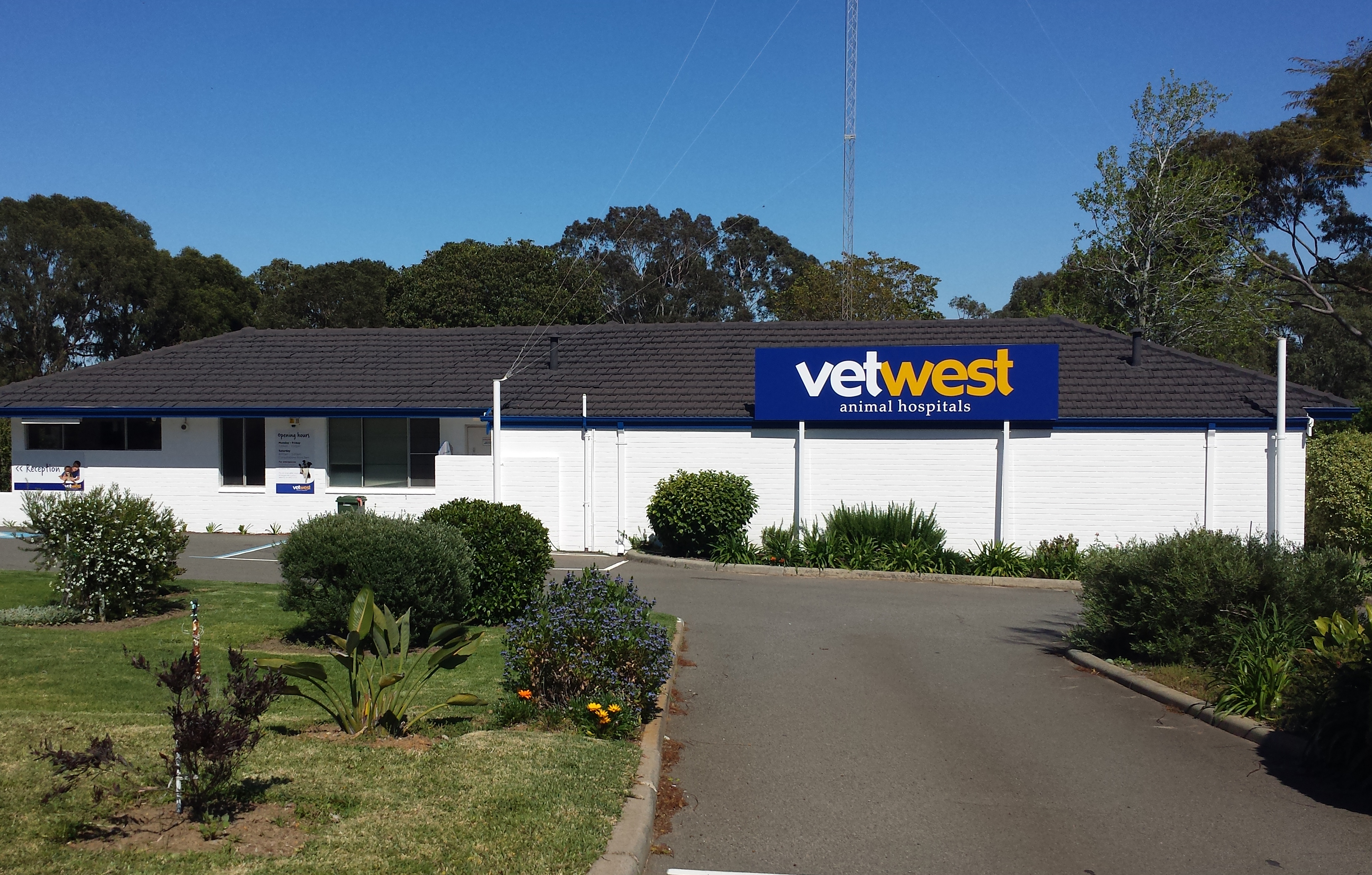 Vetwest Animal Hospitals Armadale Byford - Wungong , Australia