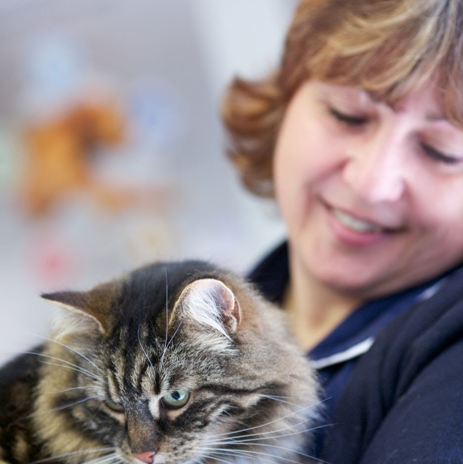 The Park Vet Group In Whetstone - Leicester , United Kingdom