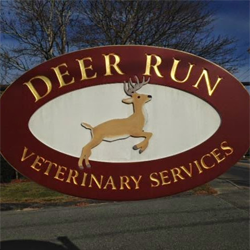Deer Run Veterinary Services - East Falmouth , United States