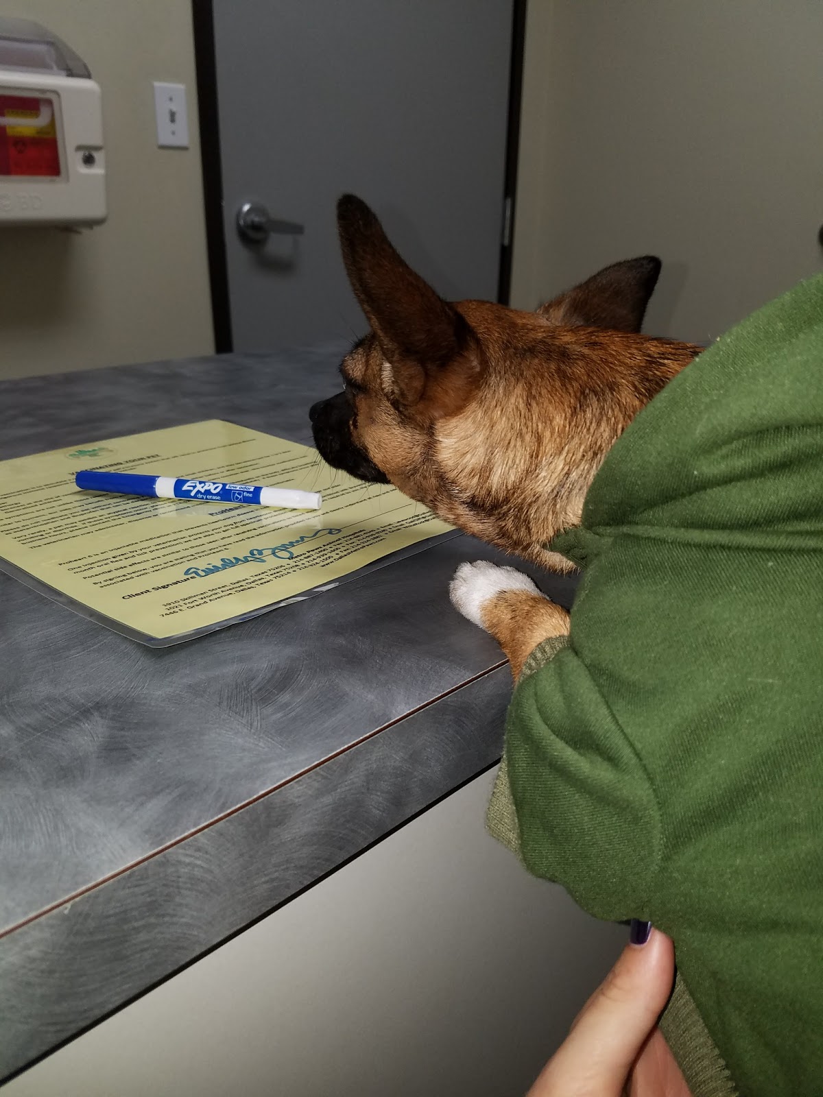 Metro Paws Animal Hospital Skillman - Dallas , United States