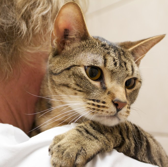 West Kootenay Animal Hospital - Trail , Canada