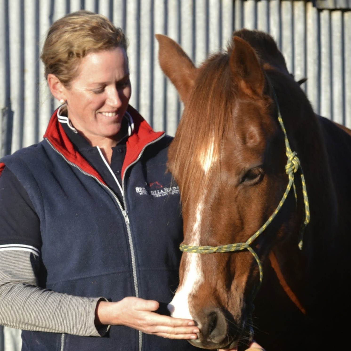 Brindabella Equine Mobile Veterinary Service - Murrumbateman , Australia