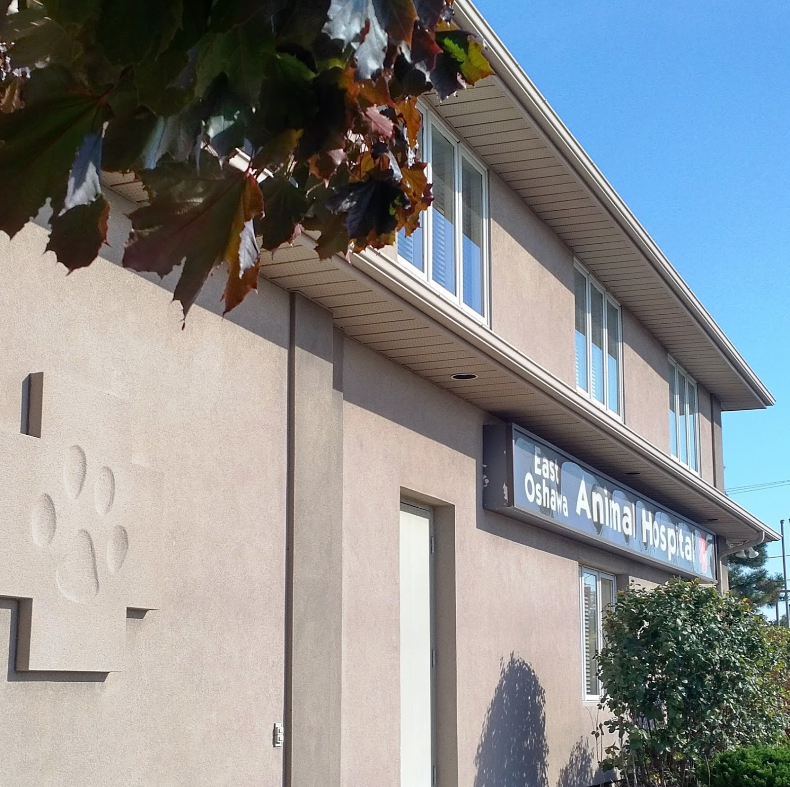 East Oshawa Animal Hospital - Courtice , Canada