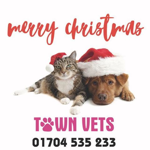 Town Vets - Southport , United Kingdom