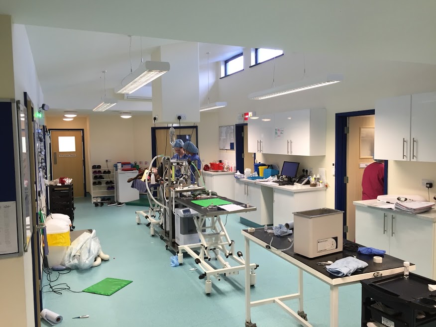 Nine Mile Veterinary Hospital - Wokingham , United Kingdom