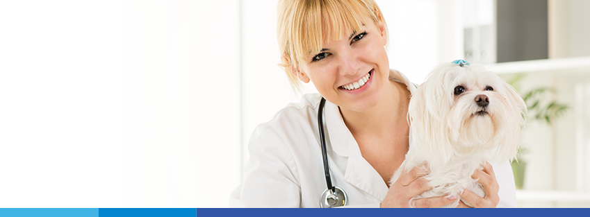 Providence Vet - Virginia Beach , United States