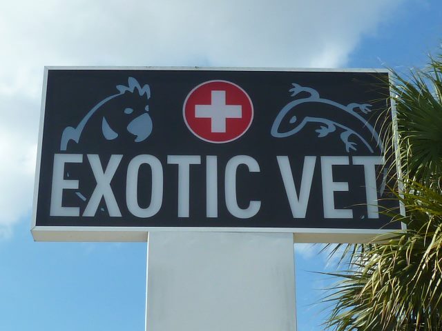 Exotic Vet Care - Mt Pleasant , United States