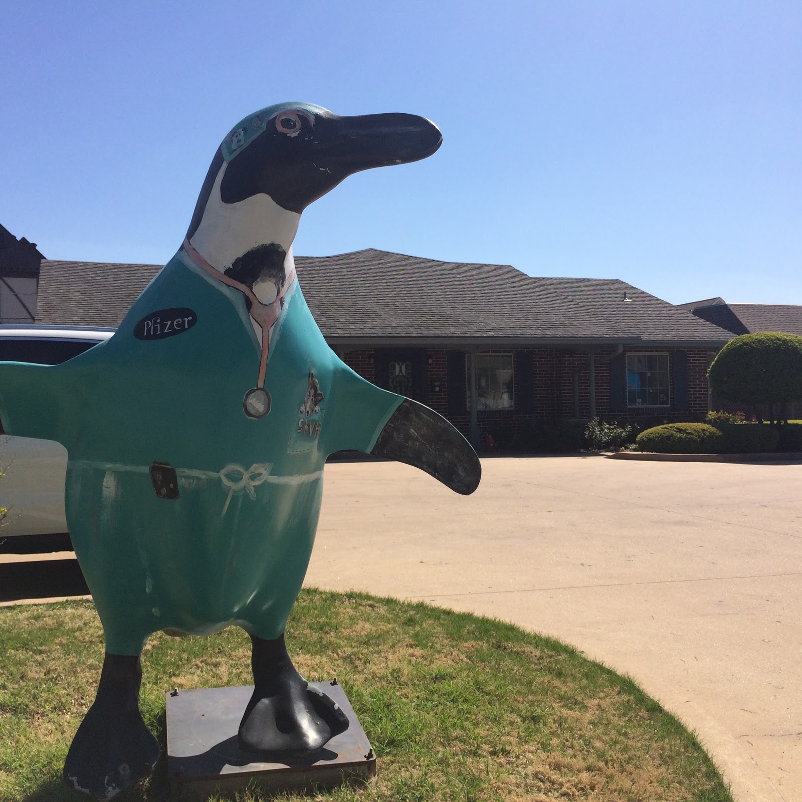 Southern Hills Veterinary Hospital - Tulsa , United States