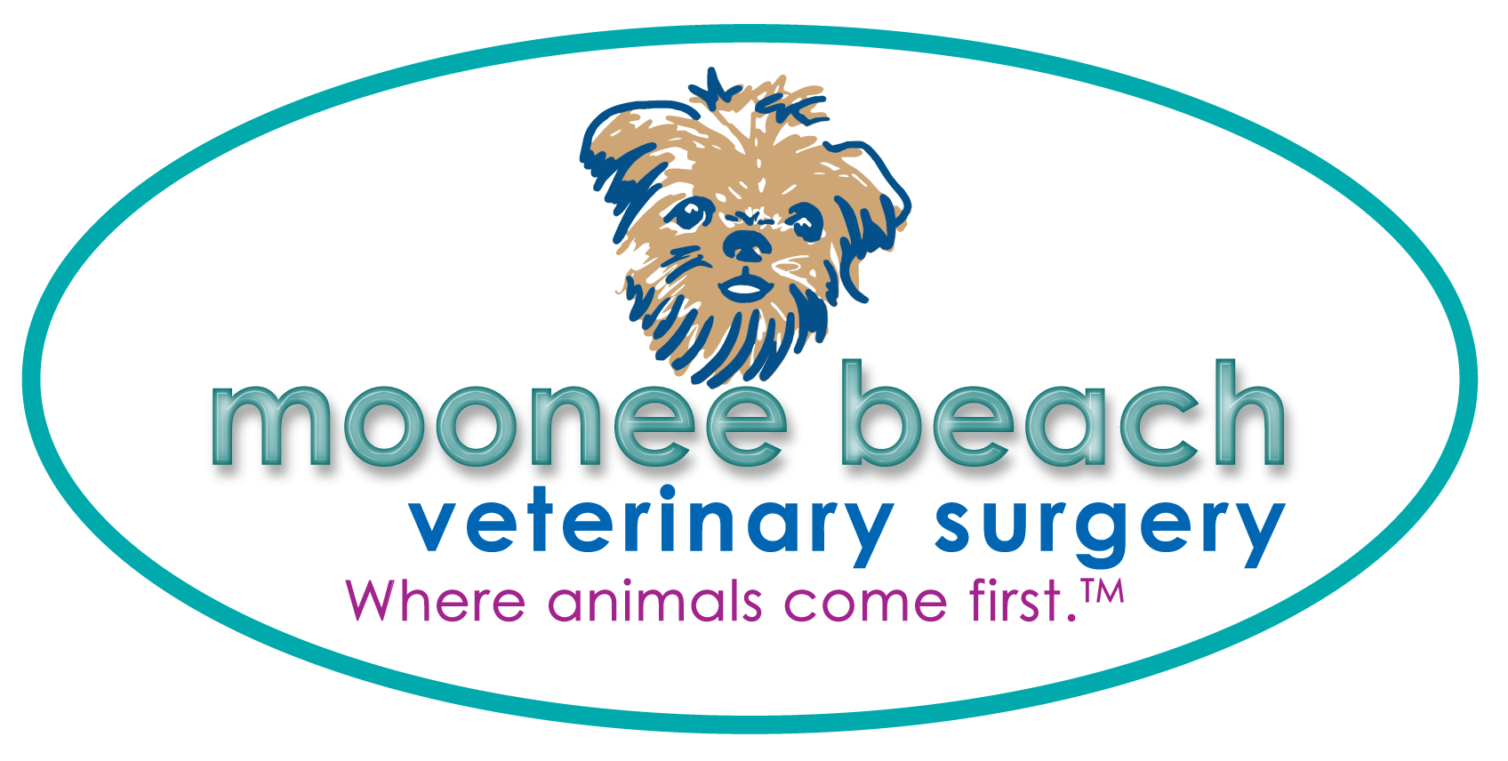 Moonee Beach Veterinary Surgery - Moonee Beach , Australia