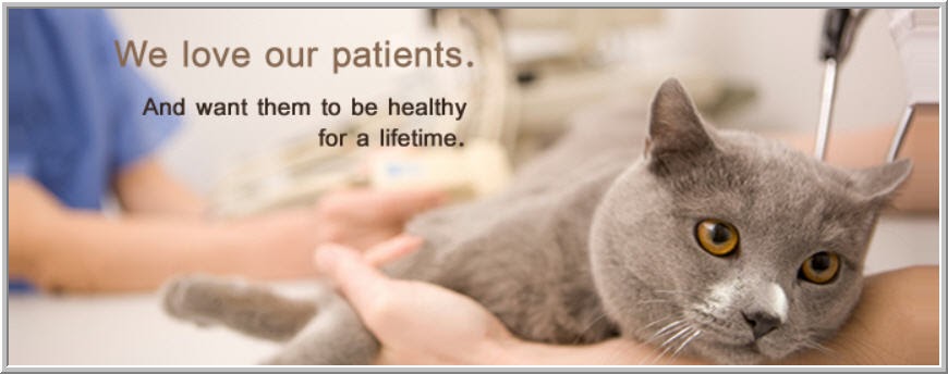 Clinton Veterinary Hospital - Clinton , United States
