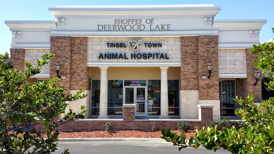 Forever Vets Animal Hospital At Tinseltown - Jacksonville , United States